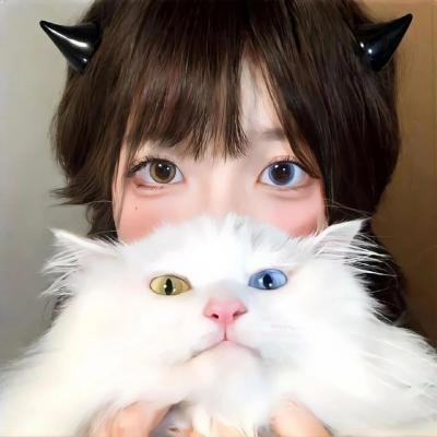 掌中雀 在线观看